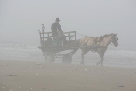 Pferdewagen am Strand